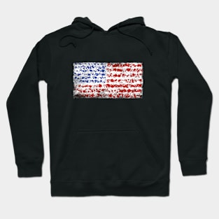 usa flag Hoodie